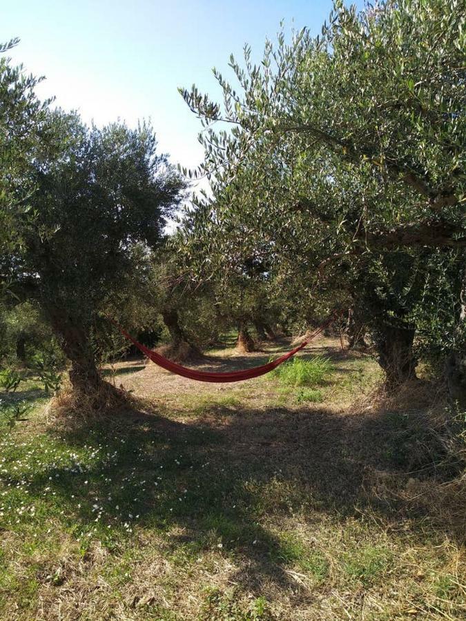 Villa Daphne, Messinia Near Koroni Kómboi Extérieur photo